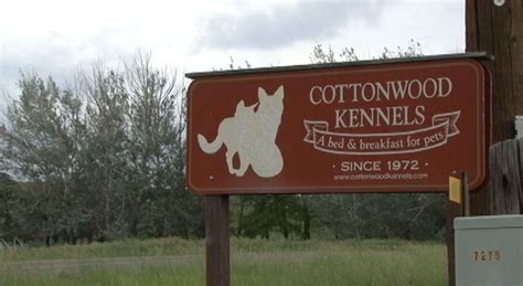 Cottonwood kennels - New to Cottonwood Kennels? View our FAQ and Register Now! If you are wanting to have your pet visit us for our daycare or boarding services, the first step is to complete our online registration and provide proof of current vaccinations. We currently require reservations for both daycare and overnight boarding. Reservations can be requested ...